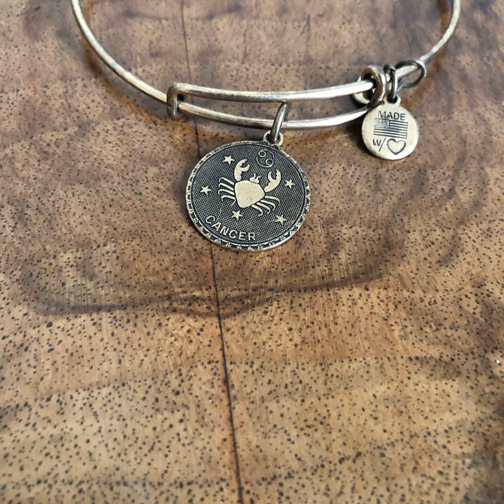 Alex and Ani cancer bracelet - Picture 3 of 3